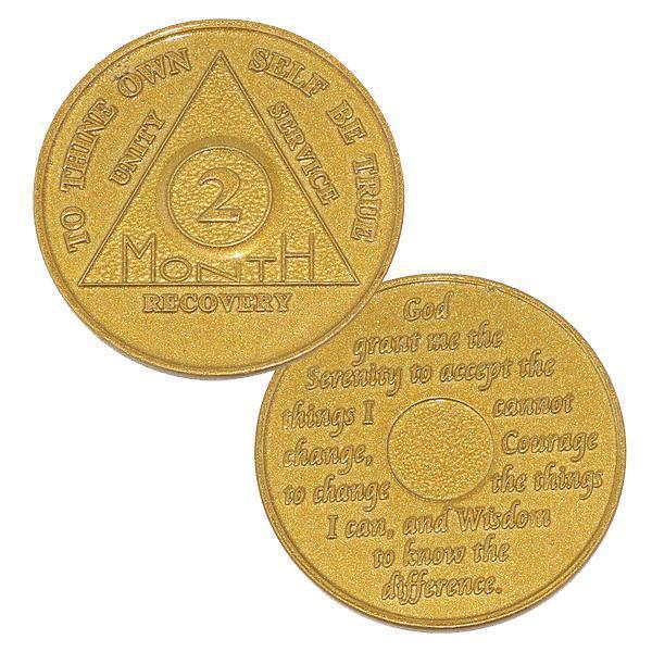 AA Aluminum Medallion 24 Hours, 1-11 Months