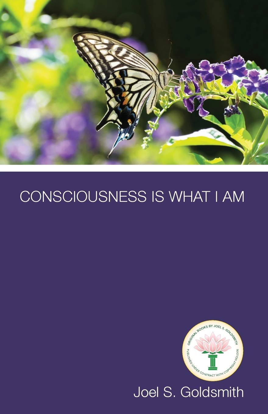 Consciousness is What I Am by Joel S. Goldsmith (Softcover)